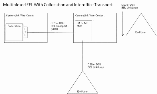 multiplexEELwithColloandIOT_111227.gif